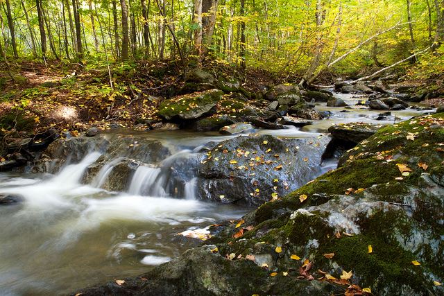 photo de ruisseau