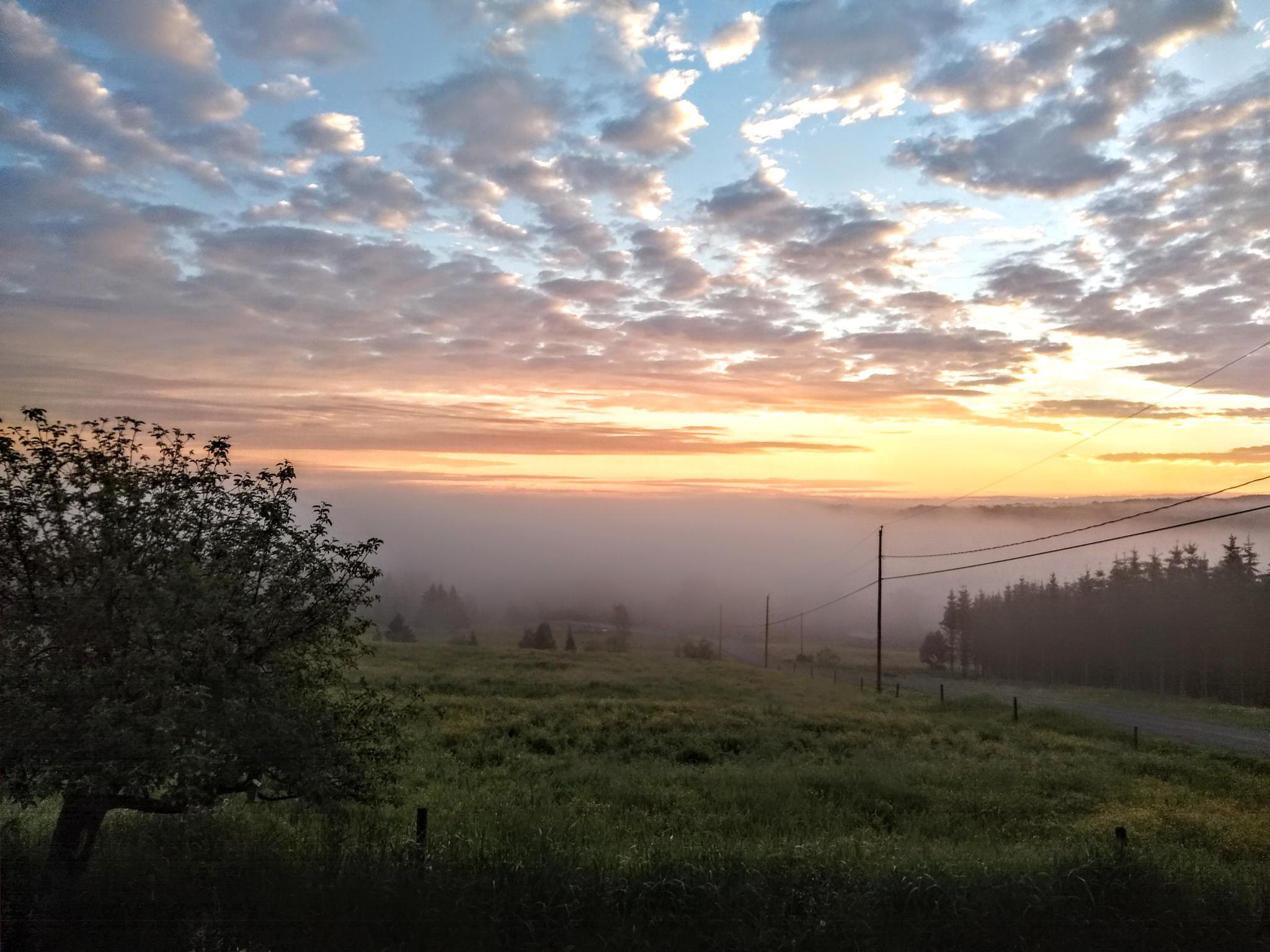 champ crépuscule saint-sylvestre