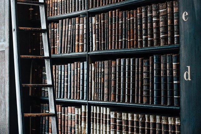 libraire bibliothèque
