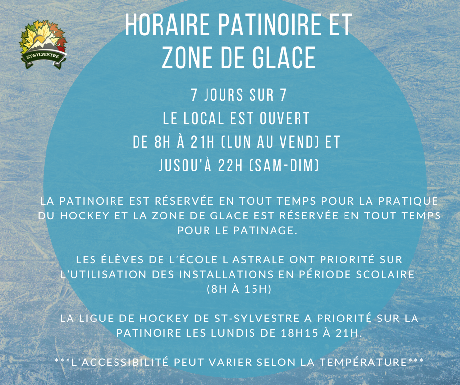 garçon dans but d'hockey patinoire