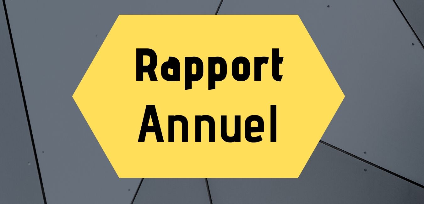 rapport annuel du maire