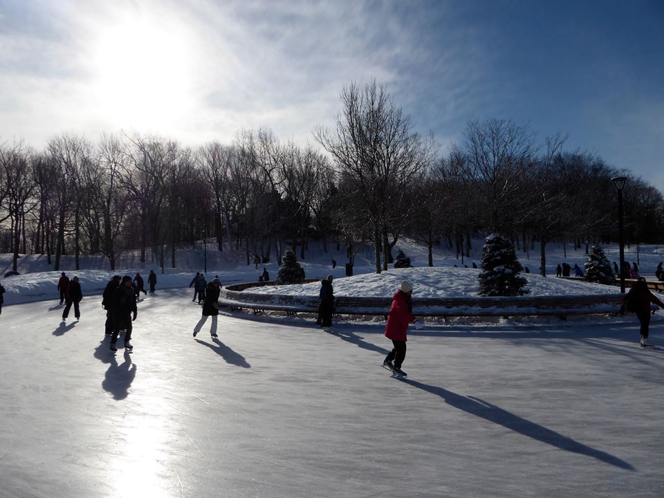 patinoire anneau de glace